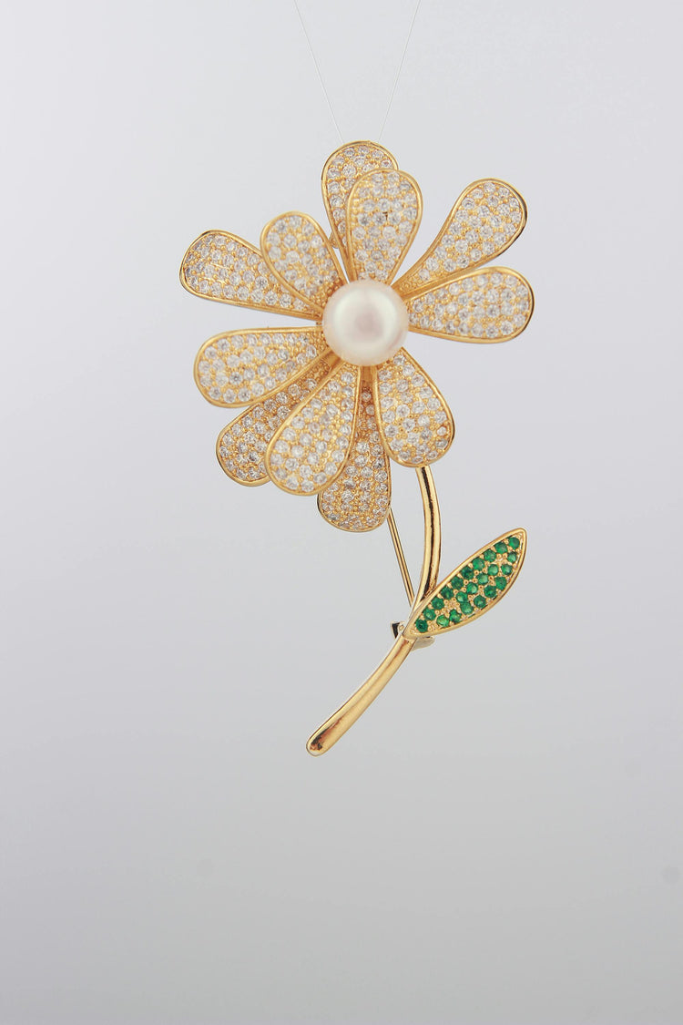 Fashion Accessories