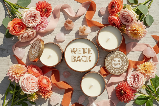 We're Back — And We've Been Busy