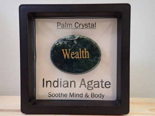 Indian Agate Palm Stone in floating display frame - Wealth