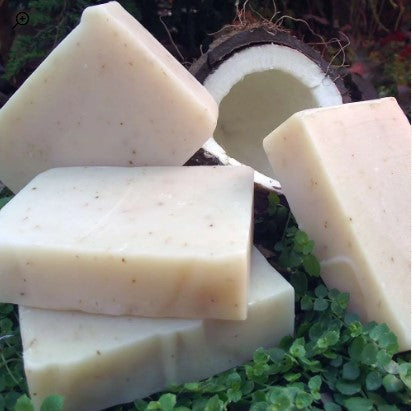 Soap: Coconut Shea (CV)